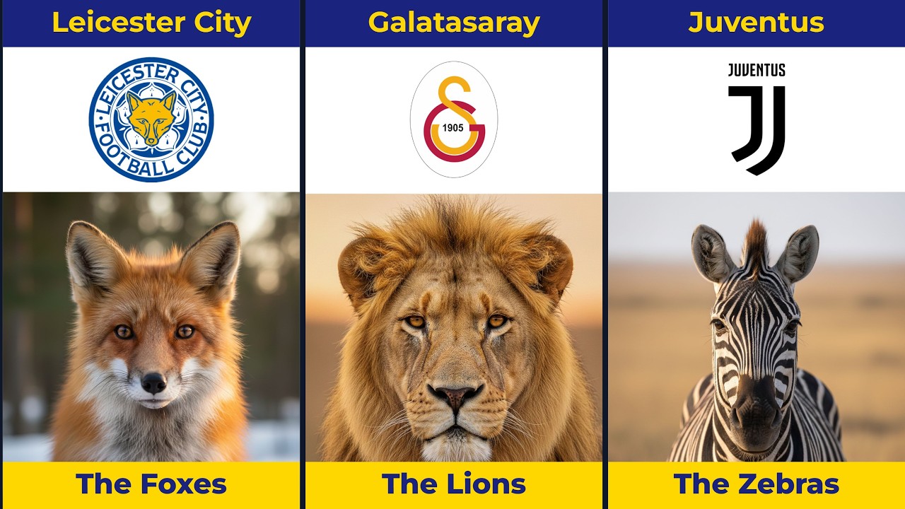 🦁 Football Clubs With ANIMAL Nicknames ⚽