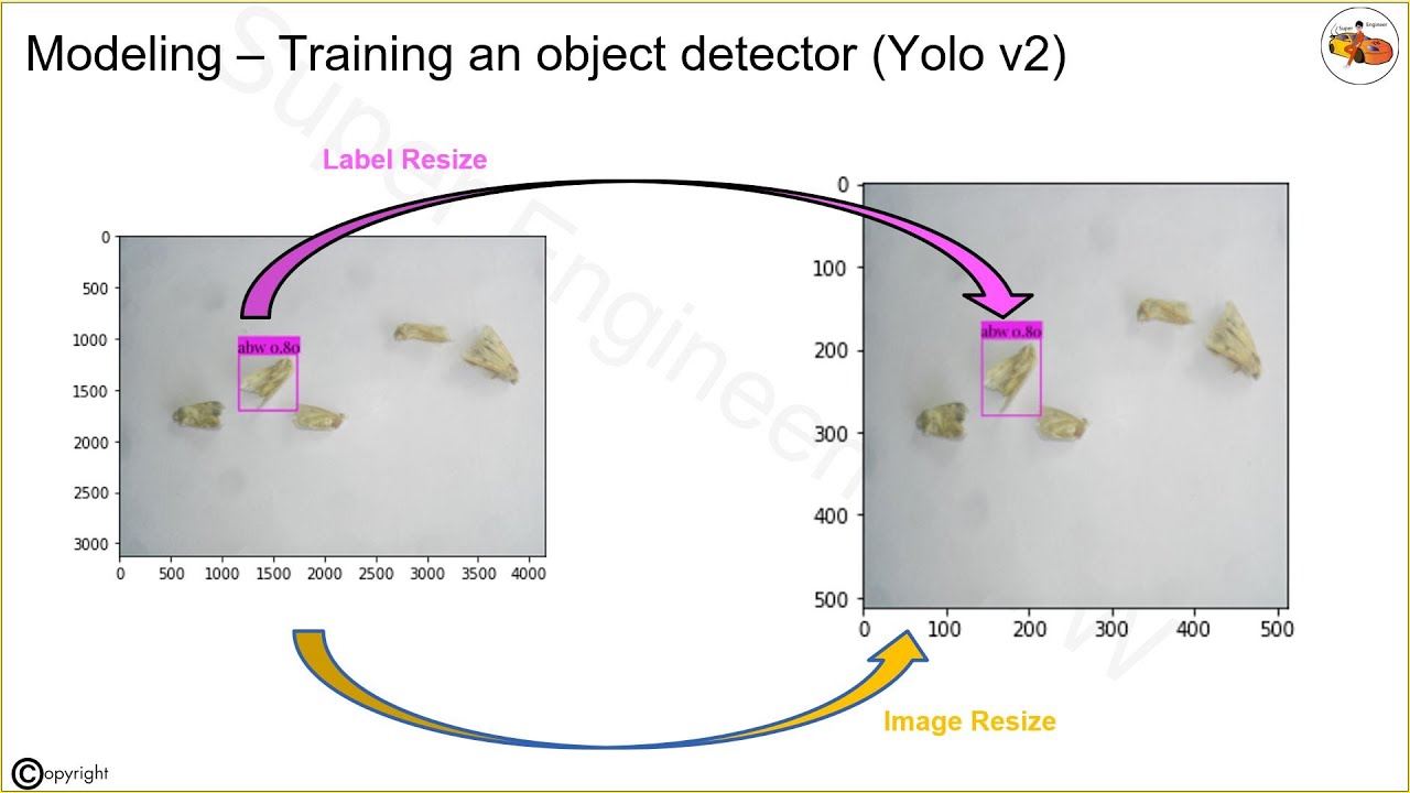 Zindi Contest: AI Cotton Bollworm Classification Challenge