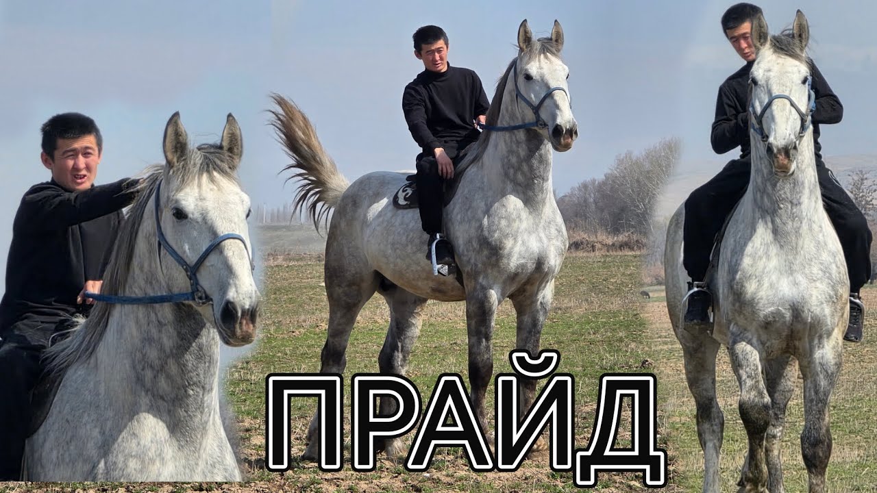 ПРАЙД 2