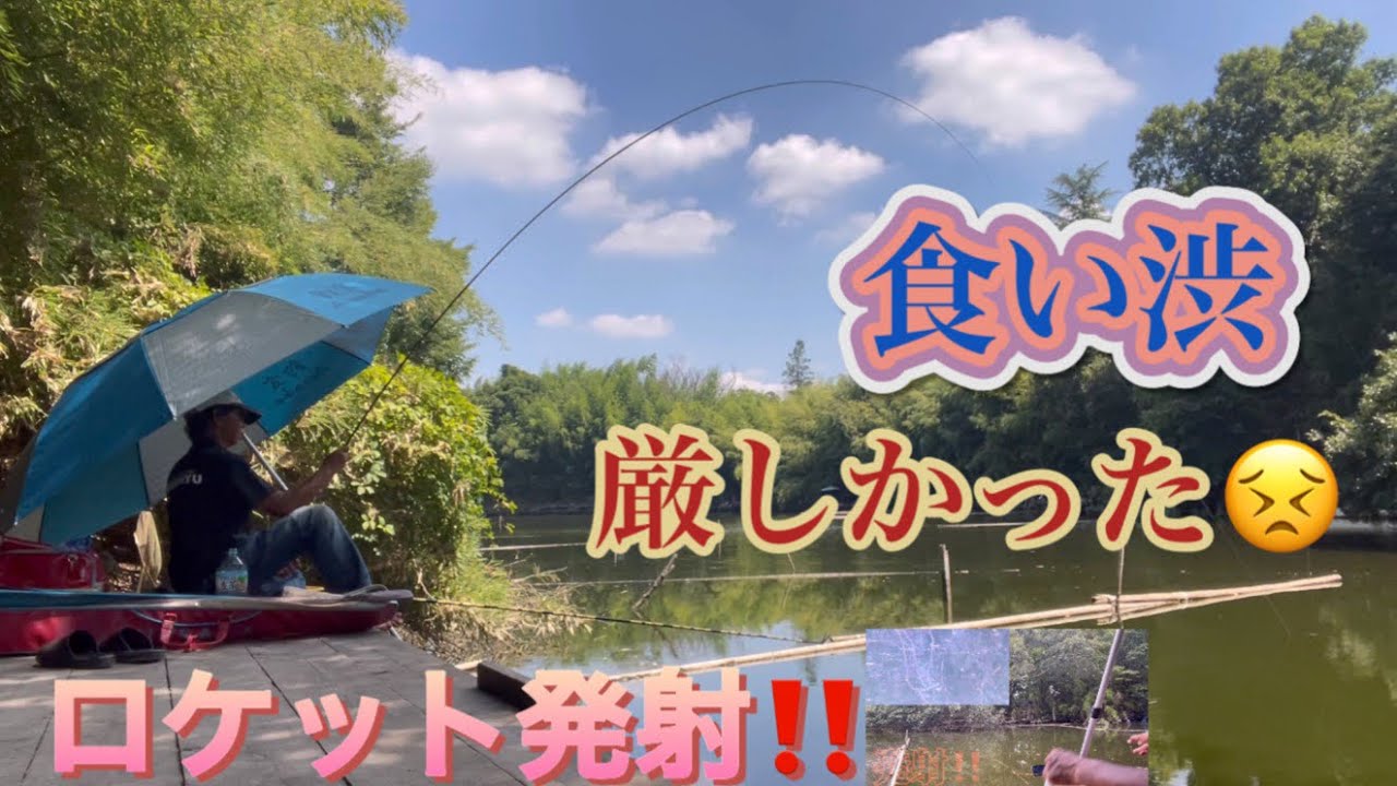 《へらぶな釣り to 丸堀》打ち込んでも食いが悪い状況では早いアタリは出してくれない😣丸堀は、朝は食いが悪いのか？