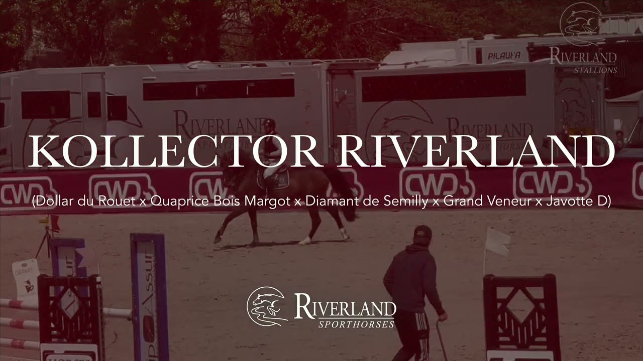 KOLLECTOR RIVERLAND - RIVERLAND STALLIONS 2025