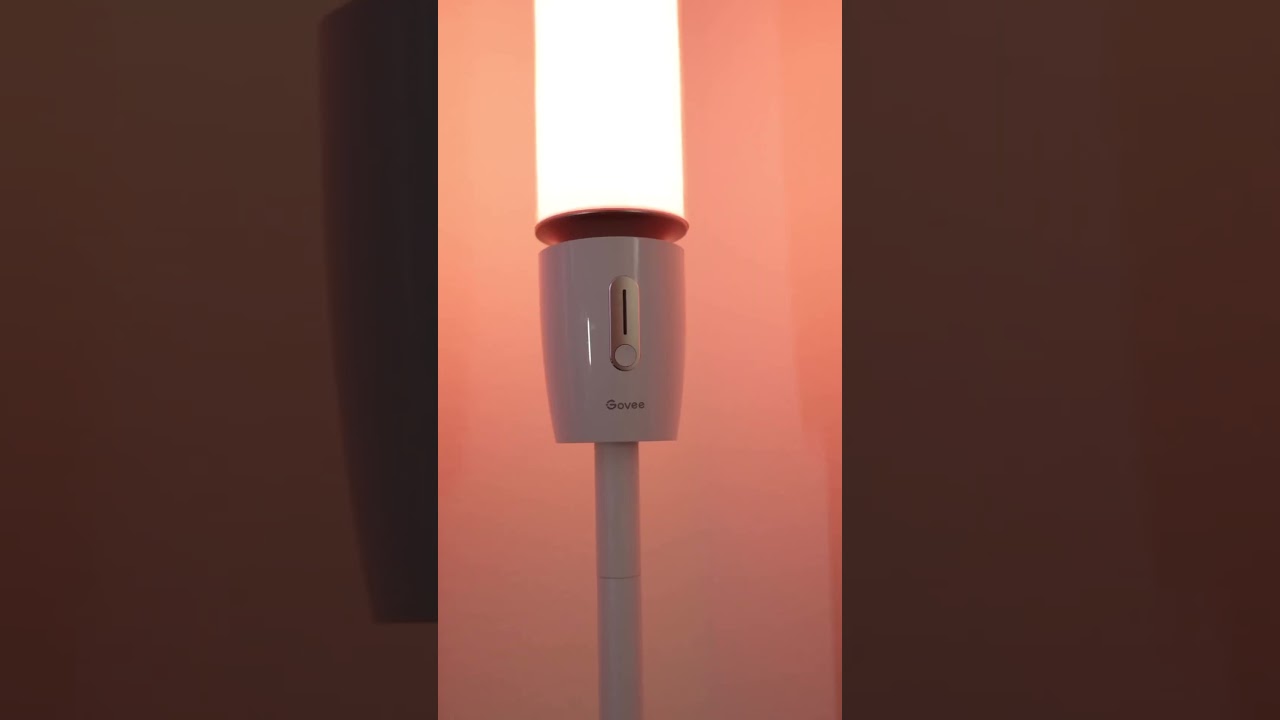 GOVEE Cylinder Floor Lamp