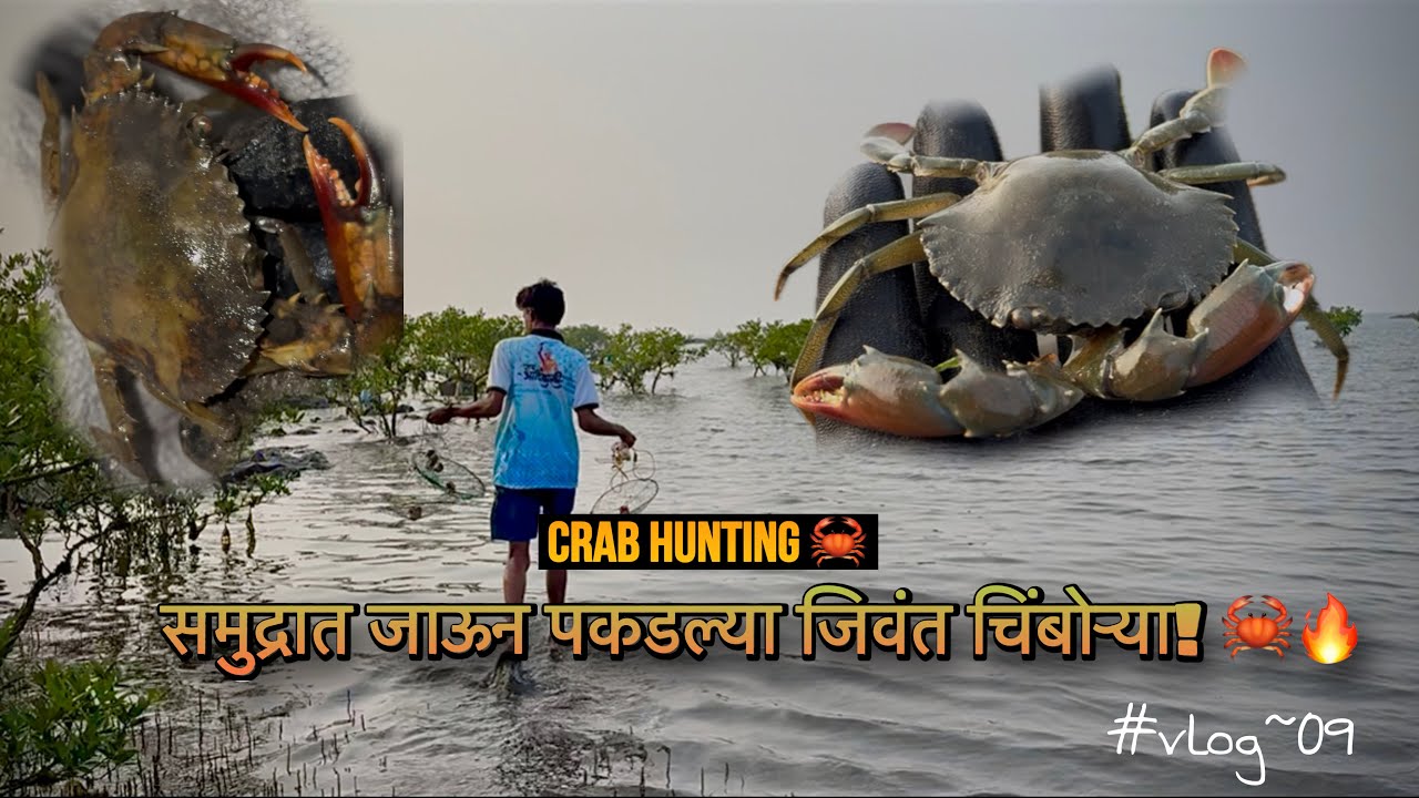 समुद्रात जाऊन पकडल्या जिवंत चिंबोर्‍या! 🦀🔥| Crab Hunting #villagevlog #tejagurav #crabhunting 