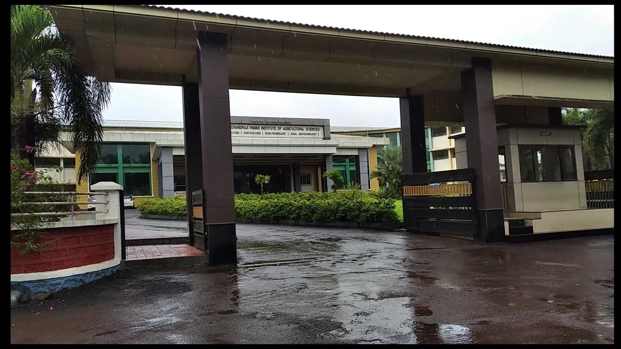 Vlog no  4 I Towards my graduation college S.P. College of Agriculture, Kharawte-Dahiwali,Chiplun