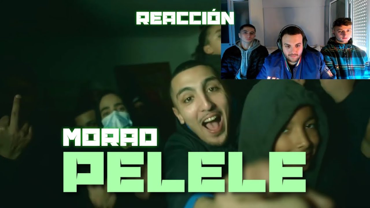(REACCIÓN) MORAD - PELELE  (PERRERA URBANA)