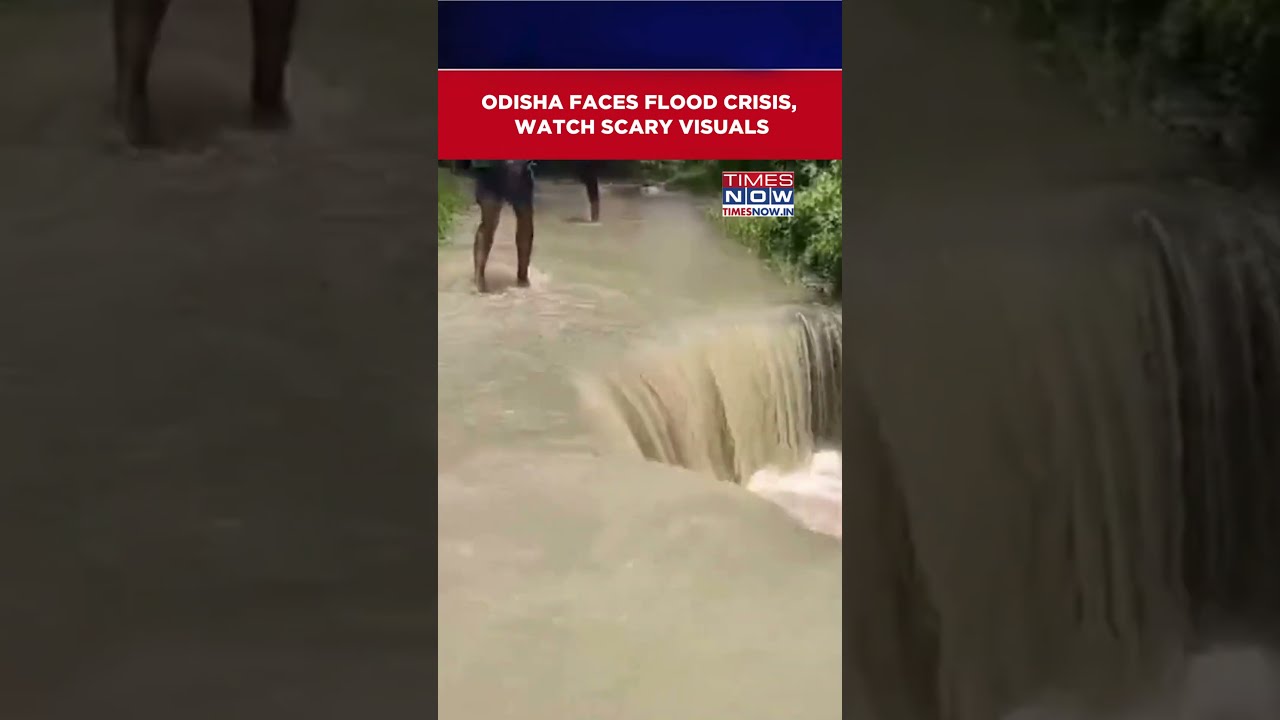 Odisha: Flood Situation Continues Across Bhadrak Following Rising Rivers Level #shorts