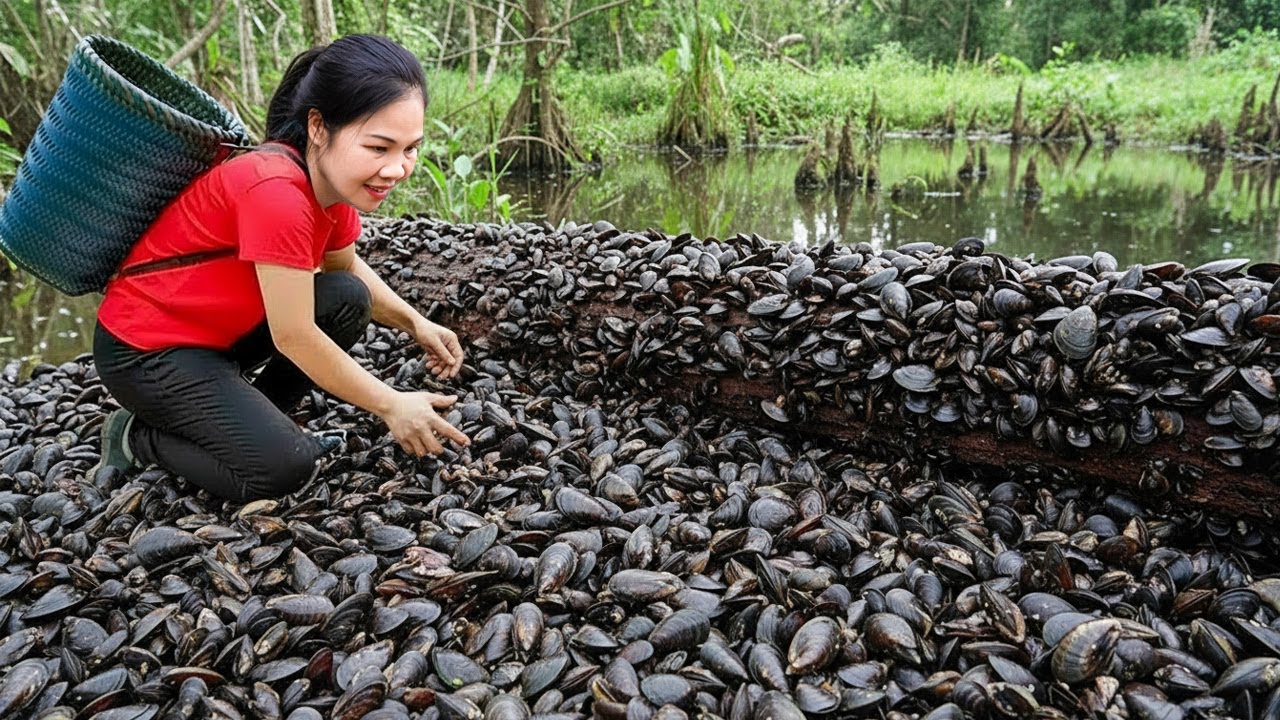 466 Days Catching A Lot Of Mussel Go To Countryside Market Sell | Cooking & Enjoy Spicy Mussel Soup