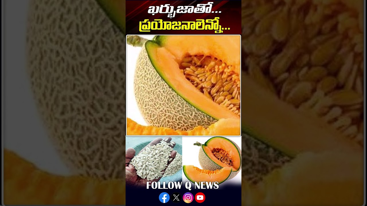 ఖర్భుజాతో.. ప్రయోజనాలెన్నో..! #Muskmelon #healthtips #latestupdates #viralvideo #qnewshd #shortvideo