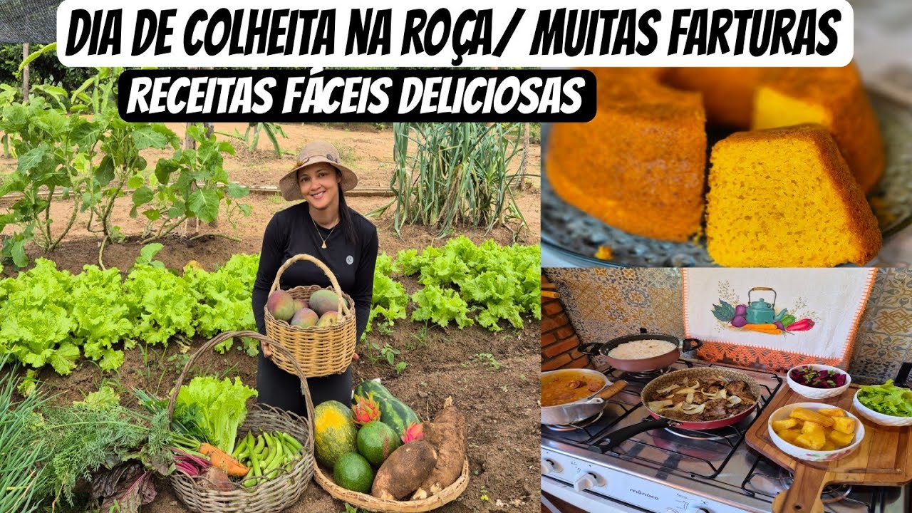 NOSSA ROÇA PRODUTIVA / almoço fresquinho/ bolo de cenoura/ polpa de manga pra congelar 