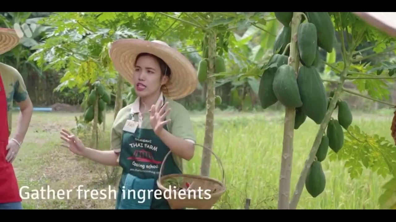 Thai Farm Cooking School-The Original and First cooking school at an organic farm in Chiang Mai-2001