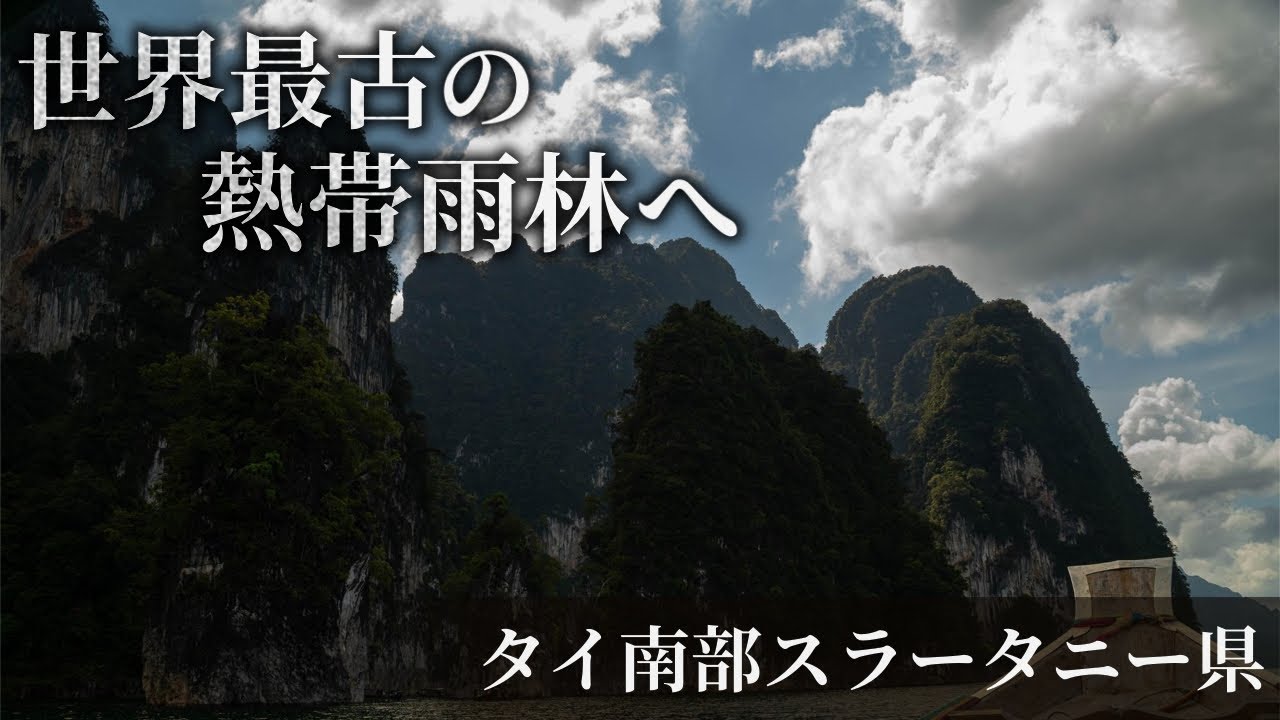 タイにある世界最古の熱帯雨林｜カオソック国立公園が美しすぎた