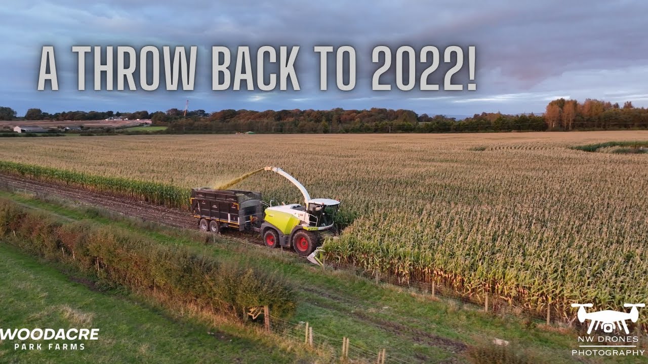 WHITTINGHAMS CONTRACTORS - MAIZE CHOPPING - 2022