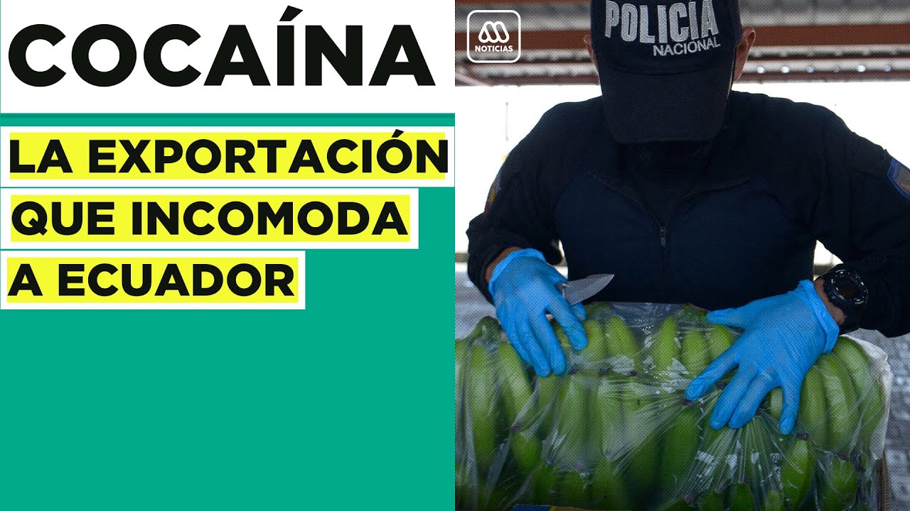 Cocaína: El más incómodo producto de exportación al mundo del Puerto de Guayaquil