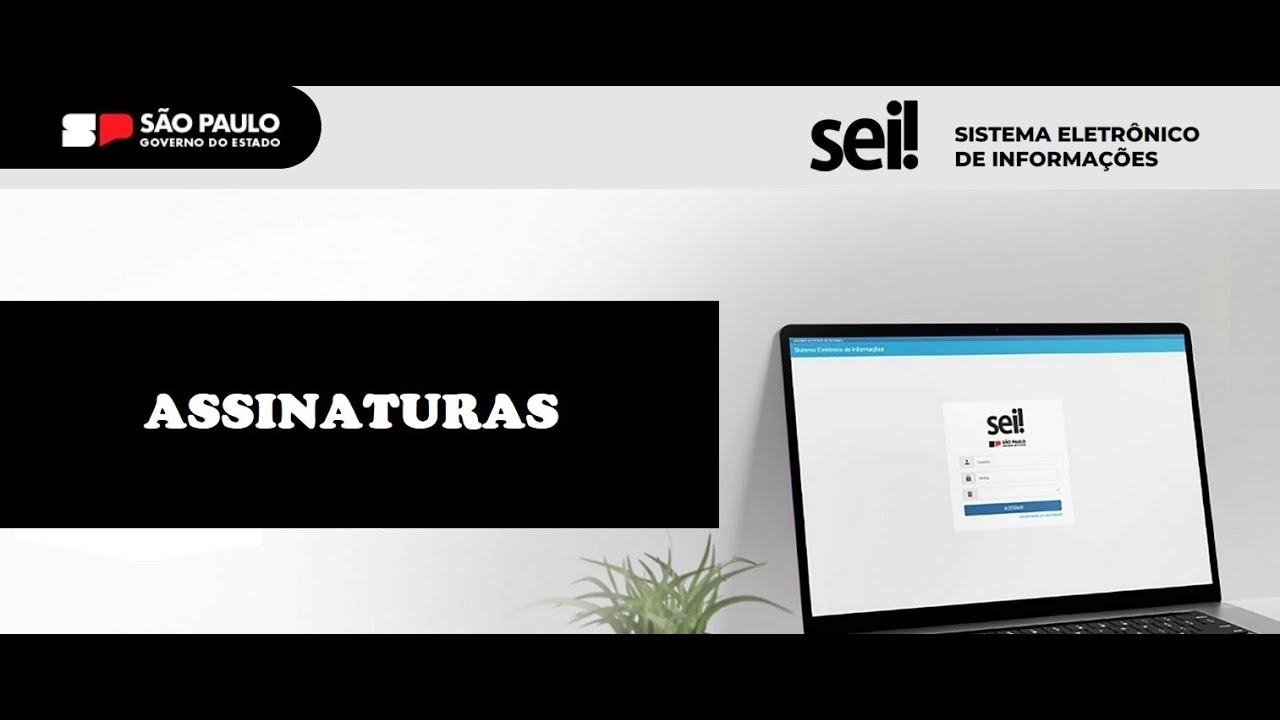 Assinaturas no SEI