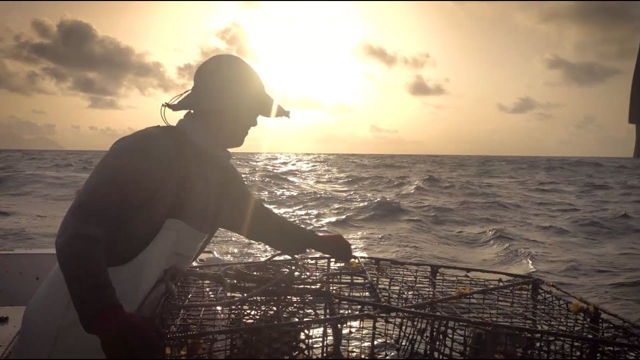 Saba Bank documentary 2016