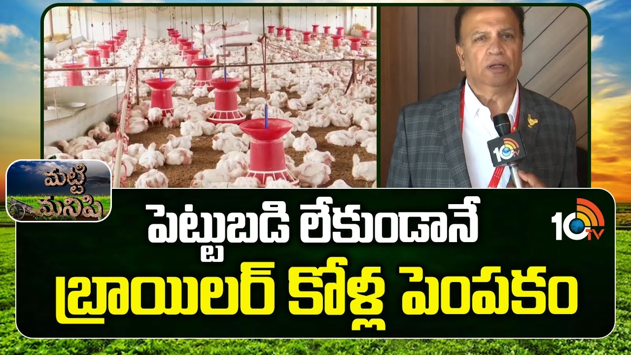 పెట్టుబడి లేకుండానే బ్రాయిలర్ కోళ్ల పెంపకం|Broiler Poultry Farming Without Investment |Matti Manishi