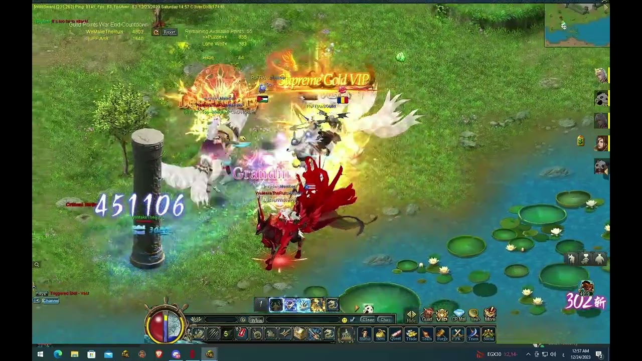 GW server wild swan