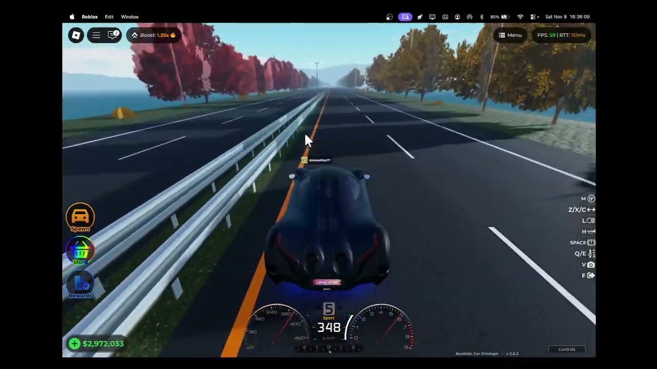 Afk grind in Realistic Car Driving