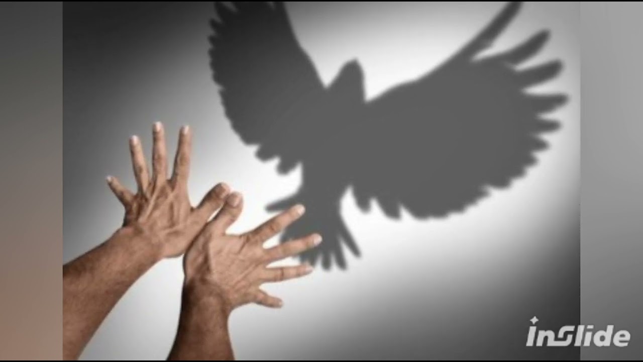 Aves en tus Manos ( letra N. B. music. IA )