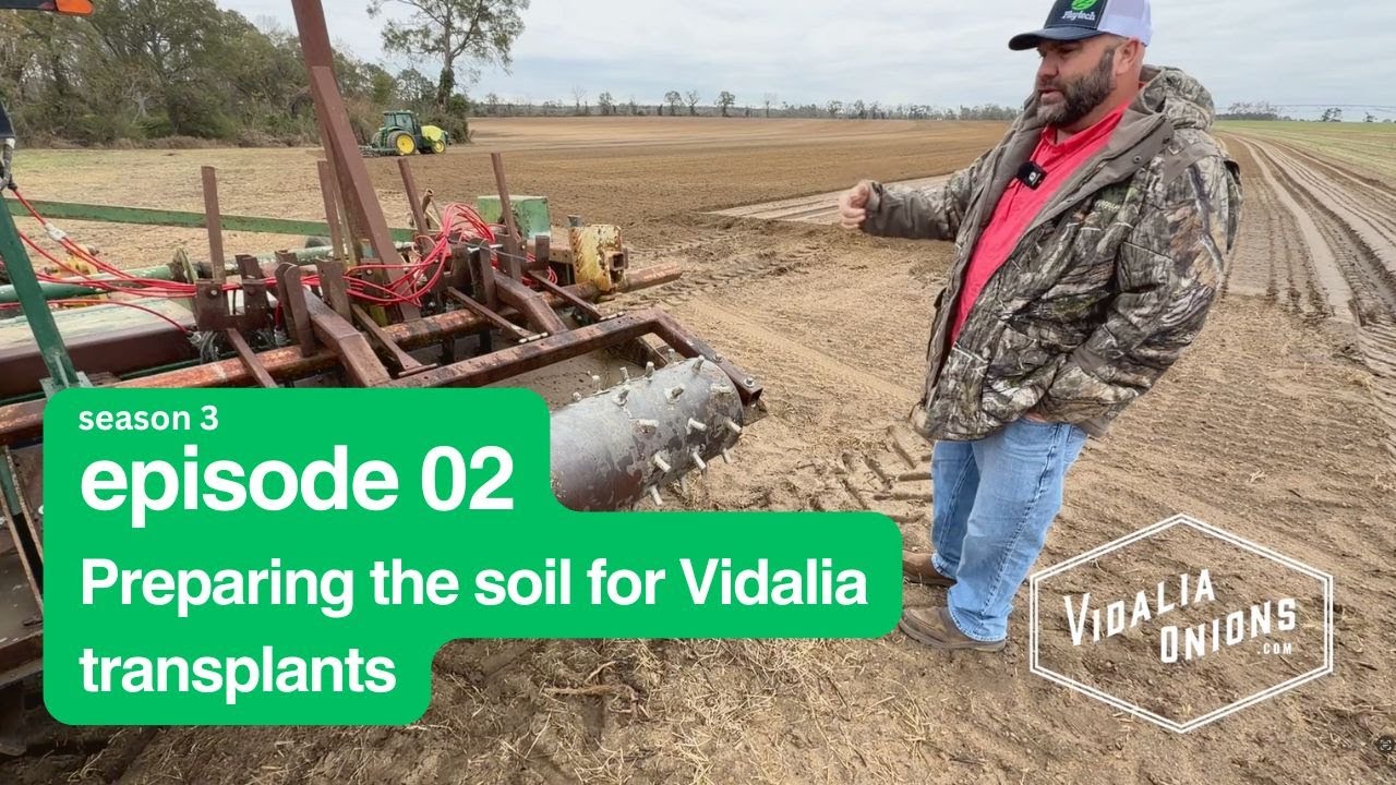 Эпизод 2 ~ Подготовка почвы для рассады лука сорта Видалия из посевных грядок.