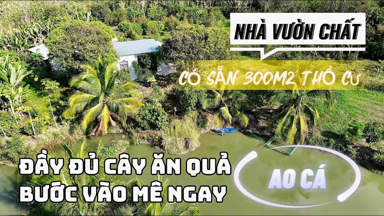 BƯỚC VÀO MÊ NGAY | NHÀ VƯỜN, AO CÁ MÁT MẺ VỚI ĐẦY ĐỦ LOẠI CÂY ĂN QUẢ, CÓ SẴN 300M2 THỔ CƯ.