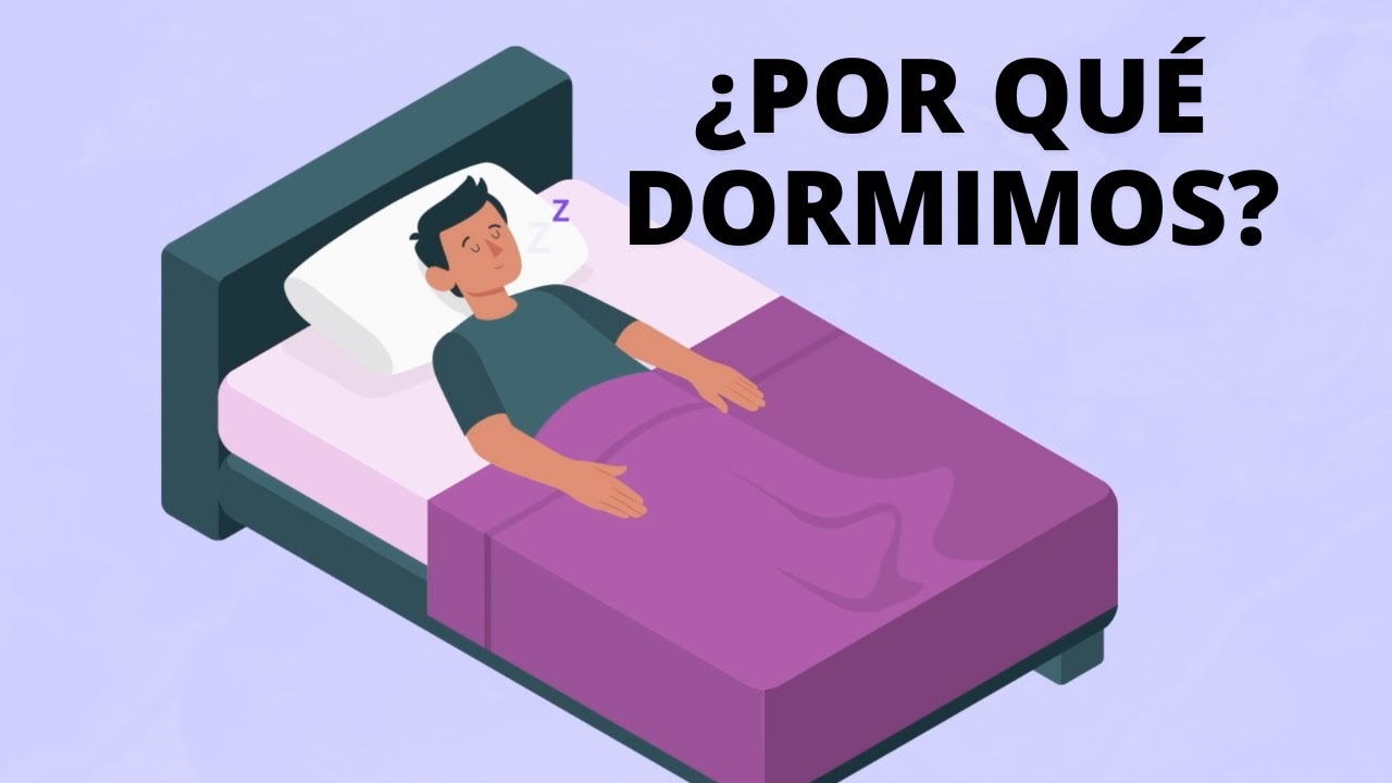 ¿Por qué dormimos?