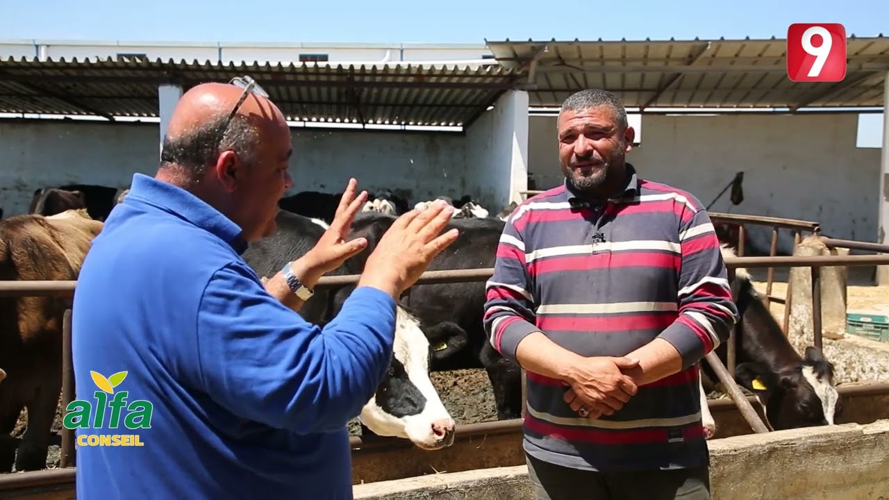 السانية S02 EP34 P02