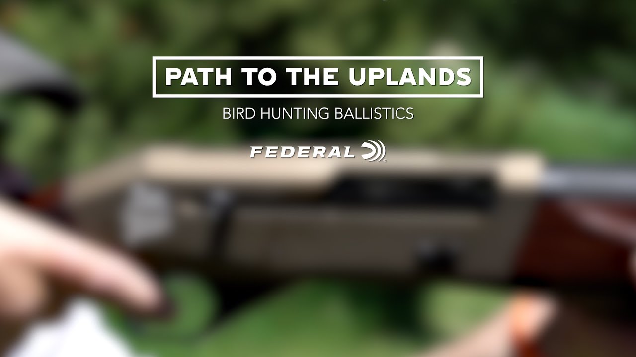 Bird Hunting Ballistics