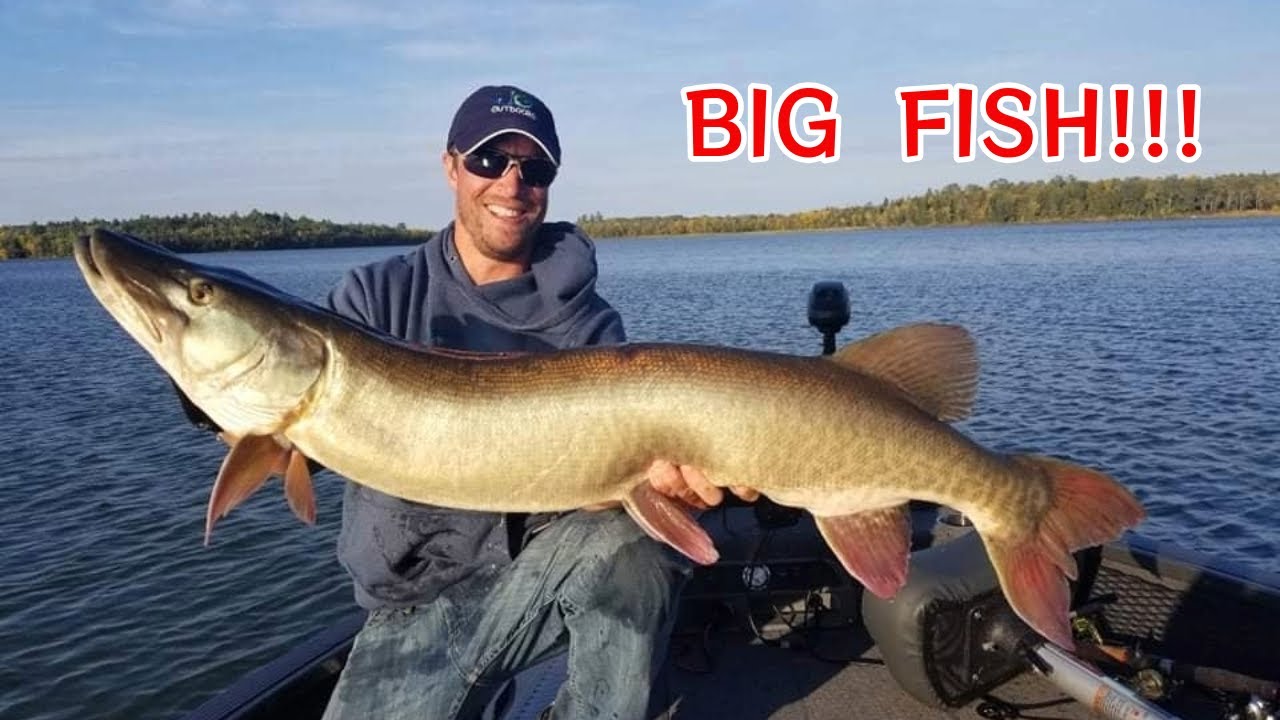 GIANT Muskie on a NEW Lure!! [Episode 6] LOTW