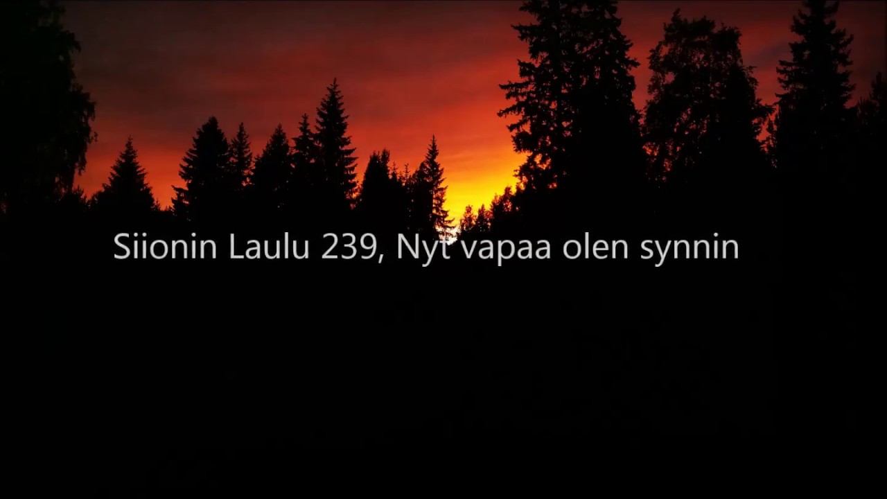 Siionin Laulu 239, Nyt vapaa olen synnin (vanha)