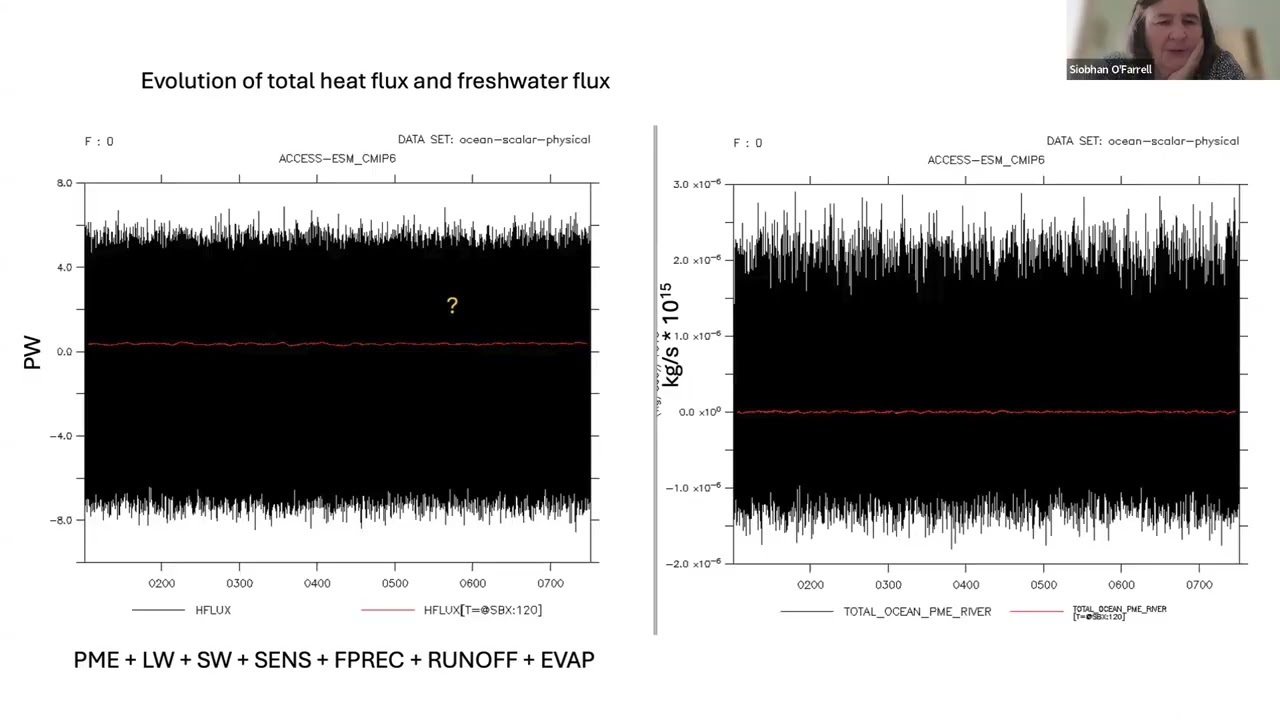 ESM1.6 - What have we done? Pearse Buchannan ESM 27Feb2025