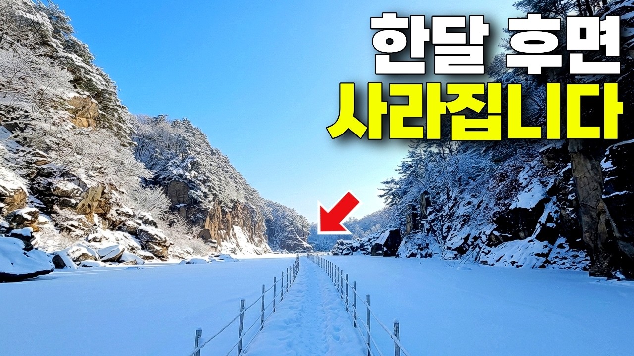 지금 안 가면 1년 기다려야 합니다! 철원 한탄강 물윗길의 환상적인 절경  | 대중교통 당일치기 여행