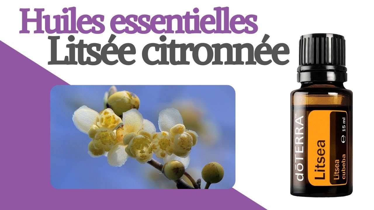 Huiles essentielles - La litsée citronnée, ses propriétés