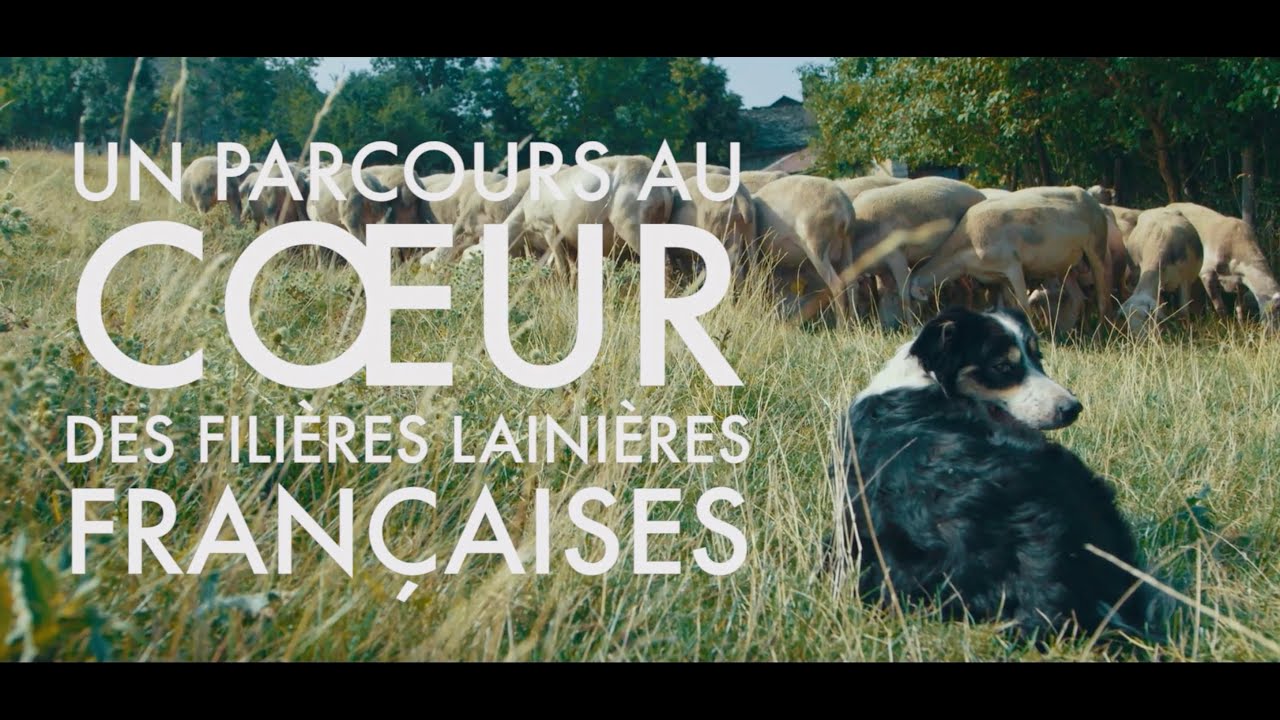 TRICOLOR, un parcours au cœur des filières lainières françaises