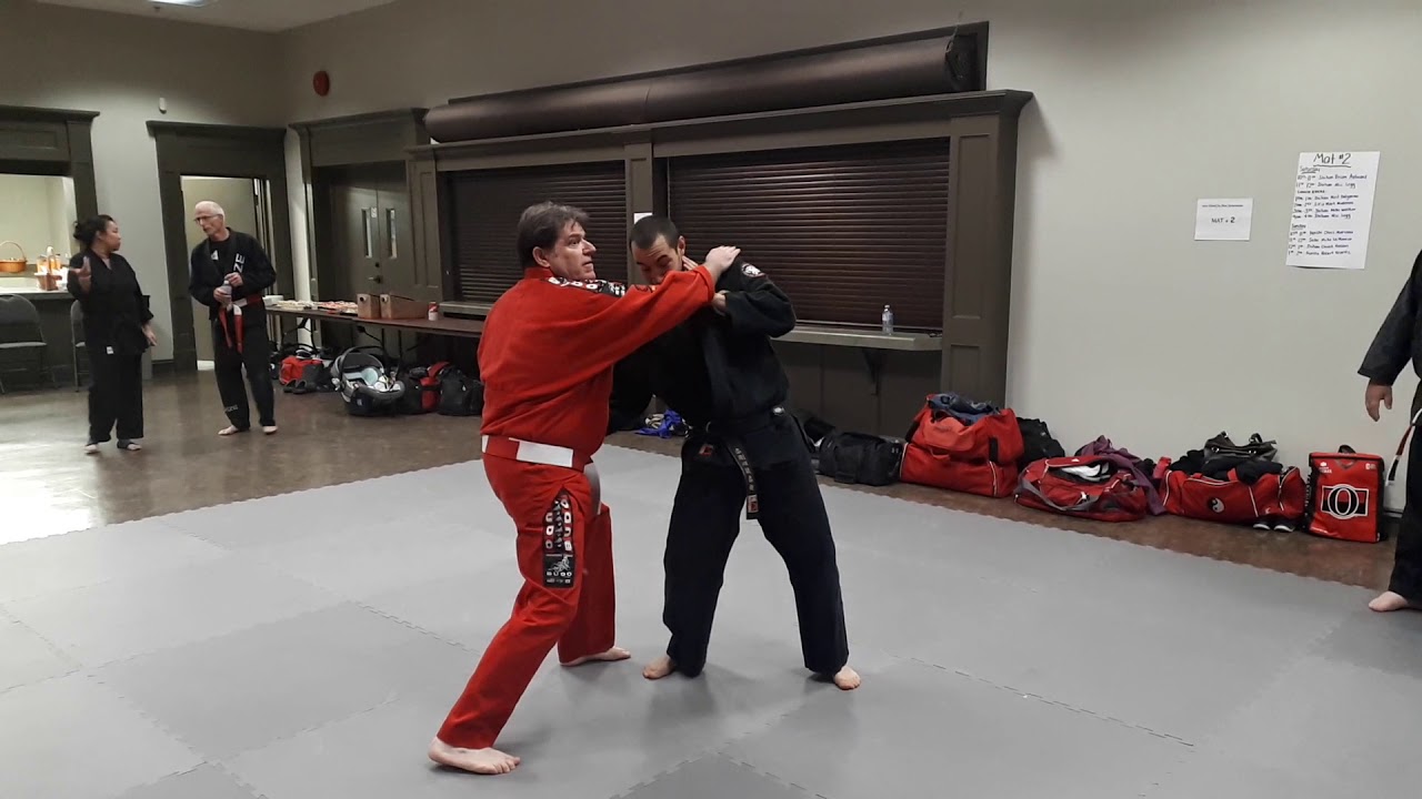 Shihan Mick Legg 1000 Islands Jiu-jitsu Symposium 1/14