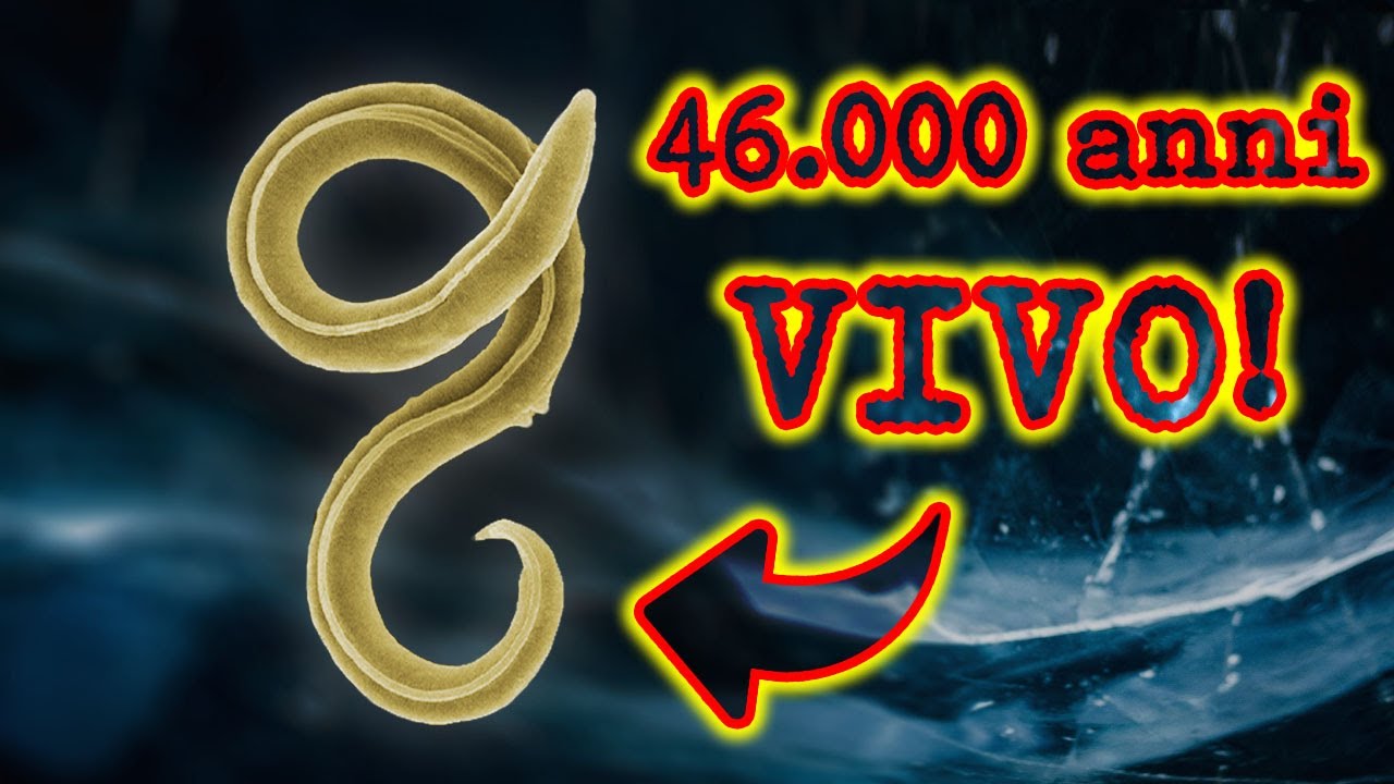 Scongelato dopo 46.000 anni