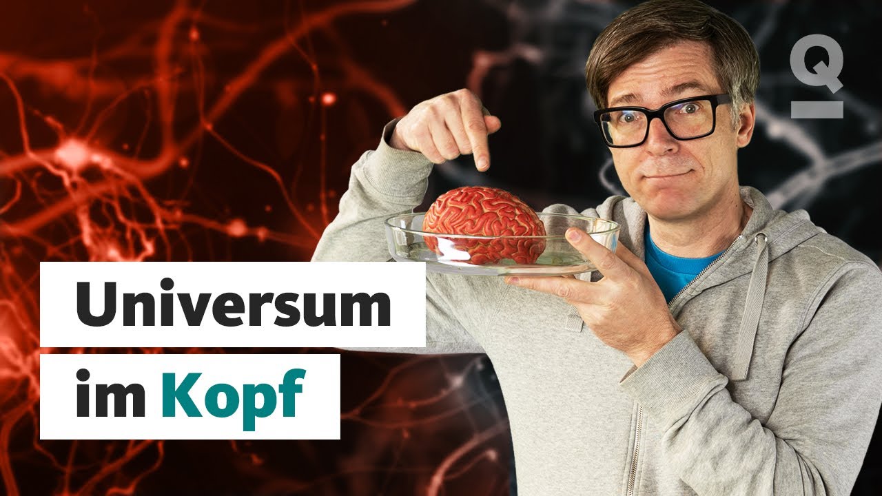 Was das Gehirn so besonders macht | Ralphs Universum | Quarks