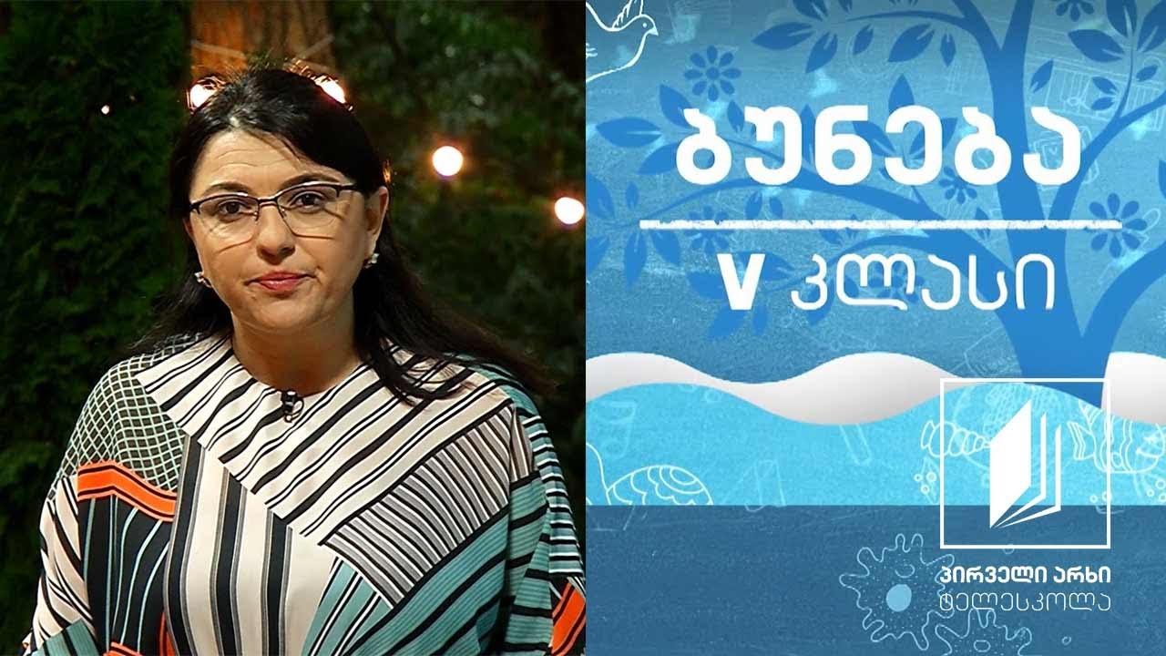 ბუნება, V კლასი - ეკოსისტემა #ტელესკოლა