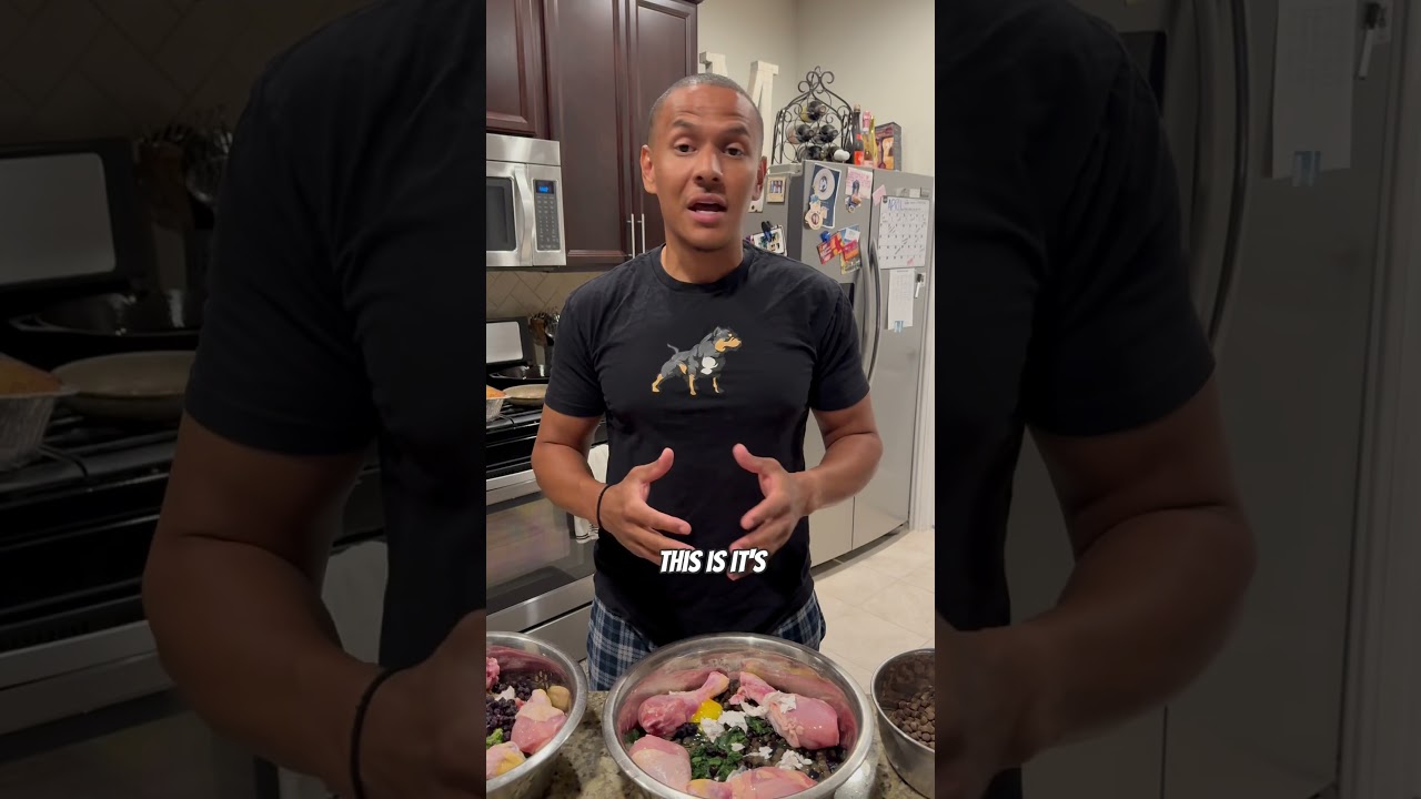 Transition from Kibble to Raw