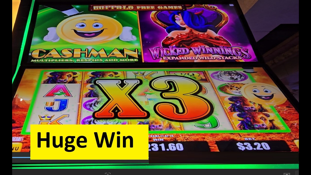Huge Better Than Handpay on Buffalo And Friends Slot! Aristocrat Game