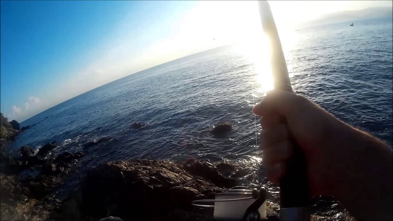 Lampuga a Rockfishing (By Danilo Triolo)