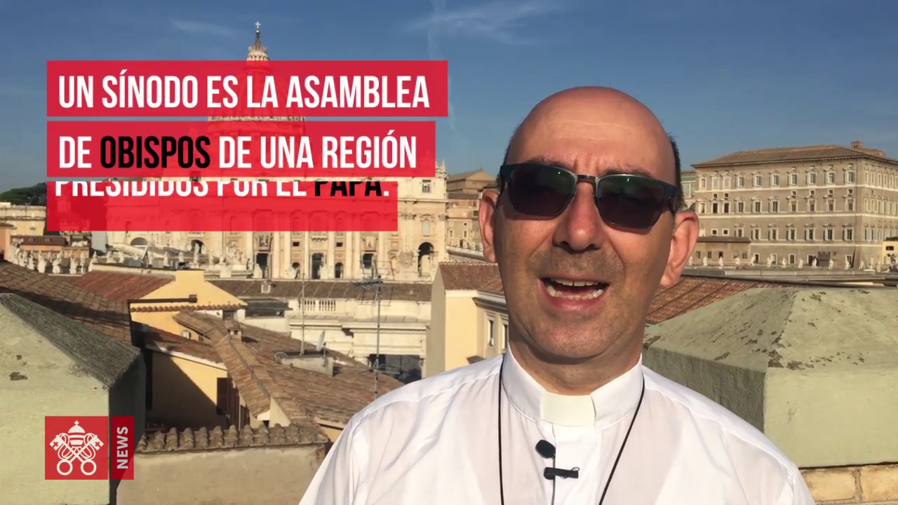 ¿Qué es un Sínodo?