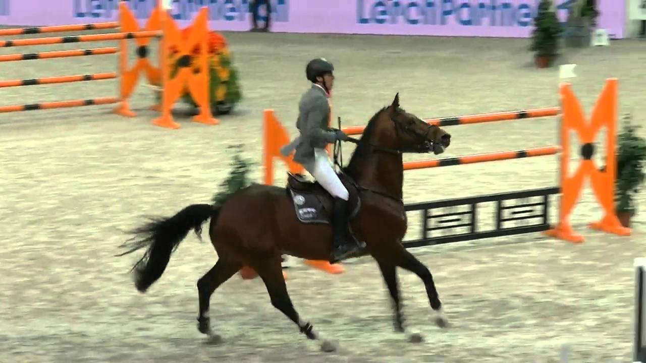 Giljandro van den Bosrand 1st Round Zürich 2016