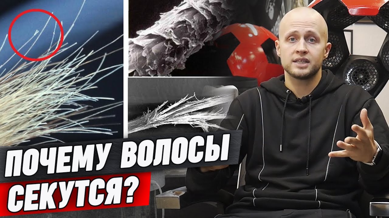 Секущиеся кончики волос | Как избавиться от посеченных кончиков раз и навсегда?