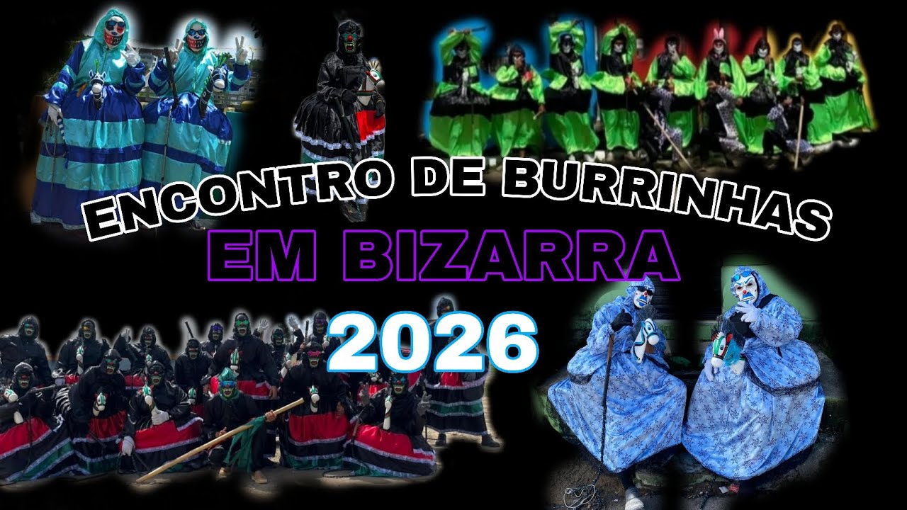Encontro de burrinhas em bizarra carnaval 2026