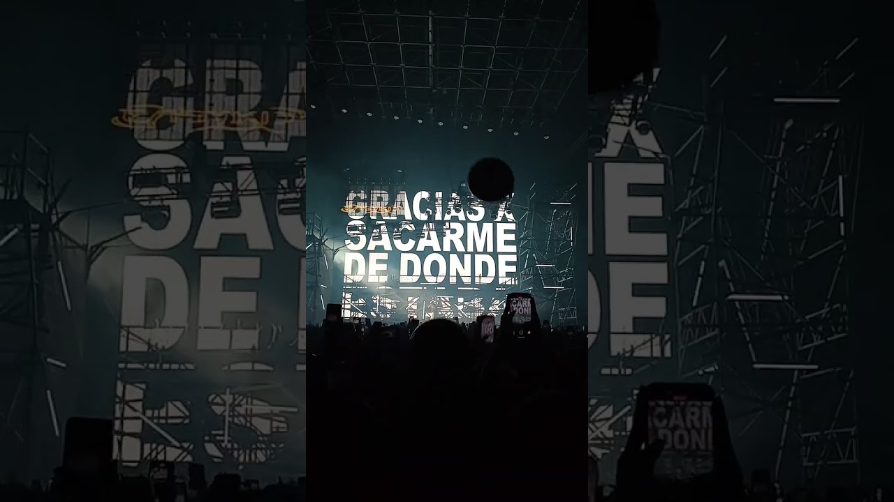 Easykid 2025 | Movistar Arena | POV Cancha