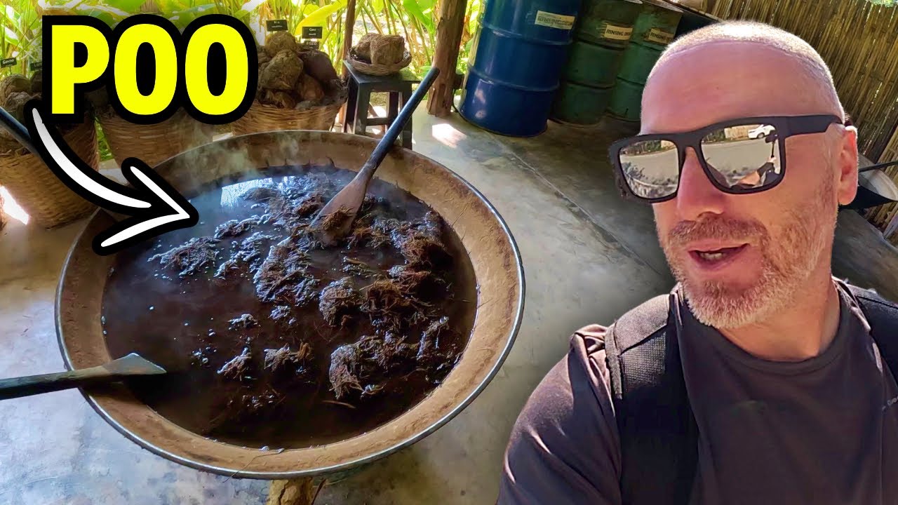 This Is What They Make With Poo in Chiang Mai...