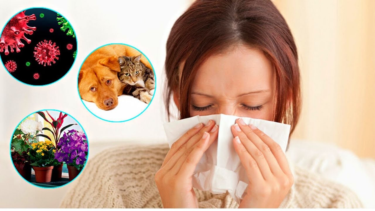 Allergik Rinit Nədir? - DİQQƏT Asmaya Çevrilə Bilər!