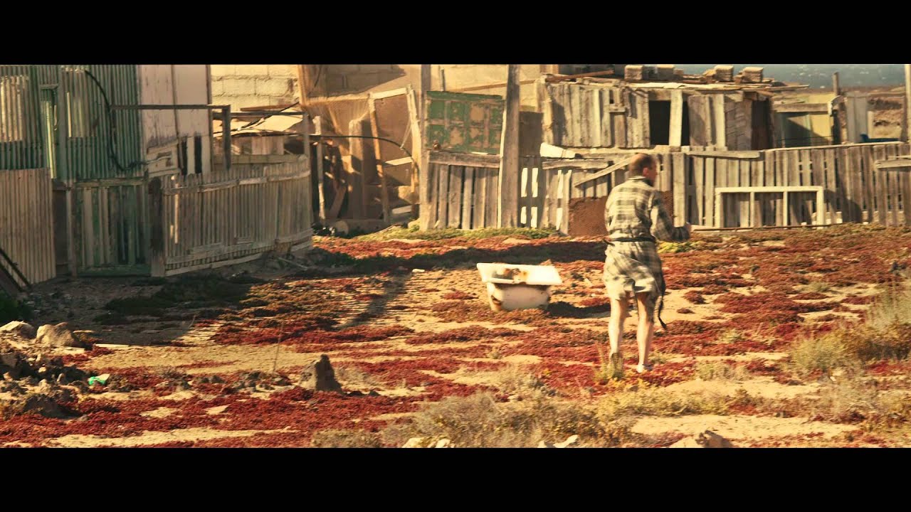 LNRipley / Sandinista (Official Video)