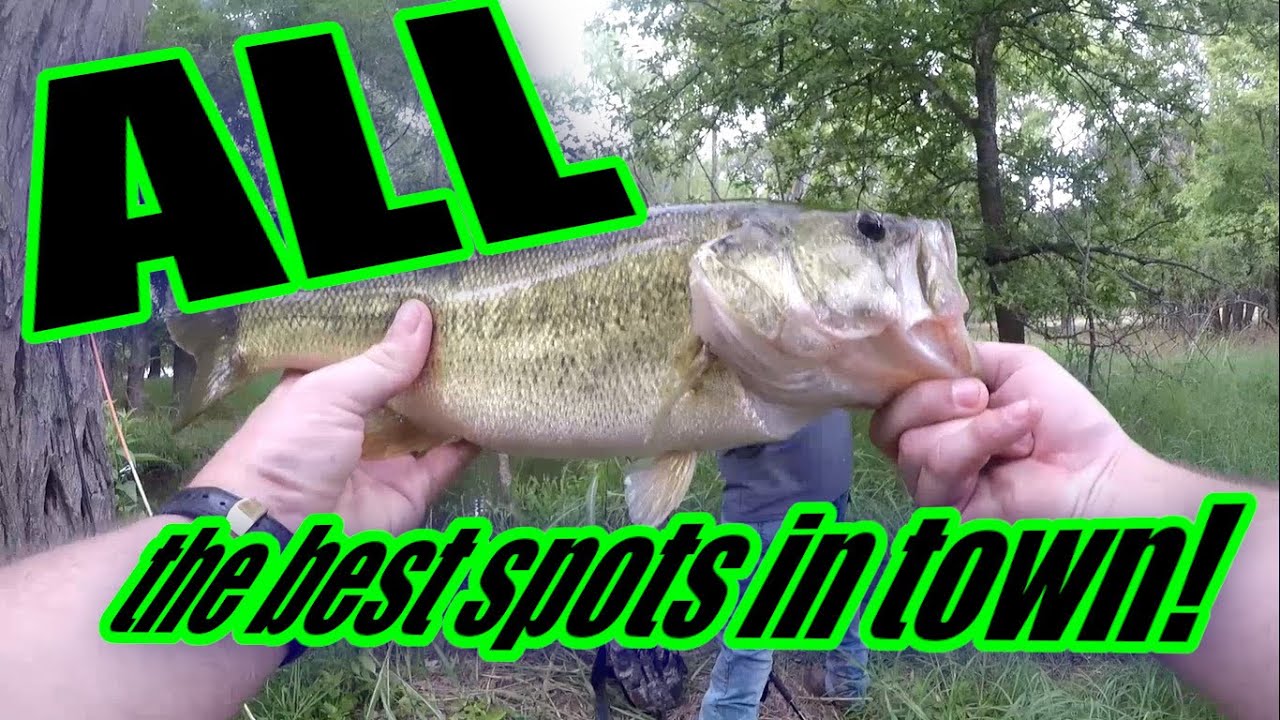 I Fished ALL the Most Popular Free Spots in San Antonio!